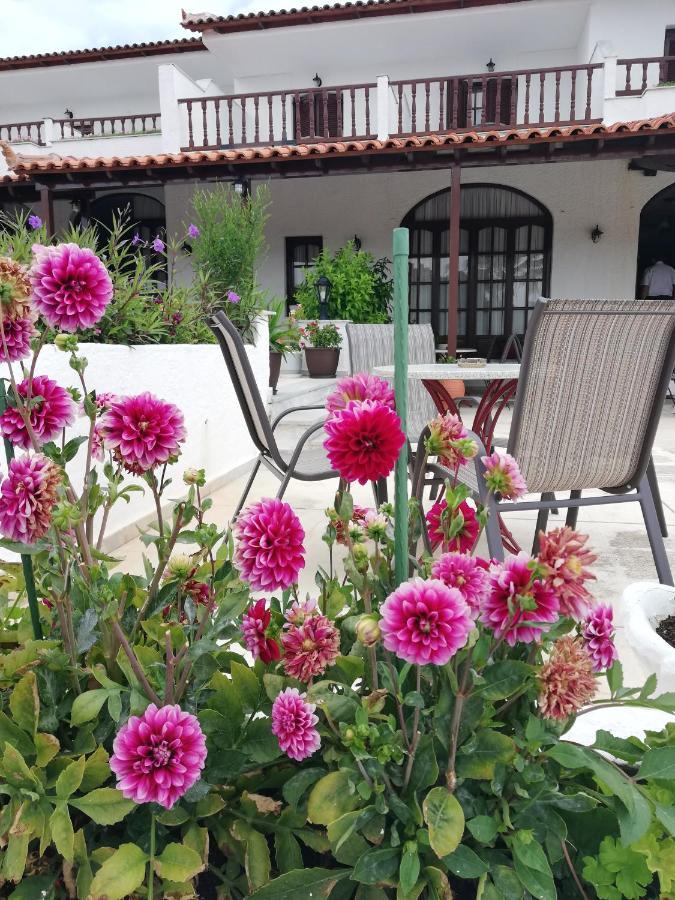 Hotel Paradise فاسيلياس المظهر الخارجي الصورة
